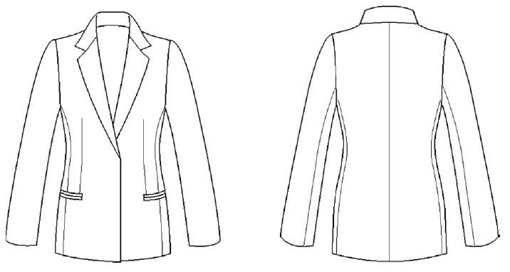 Fig. 1.