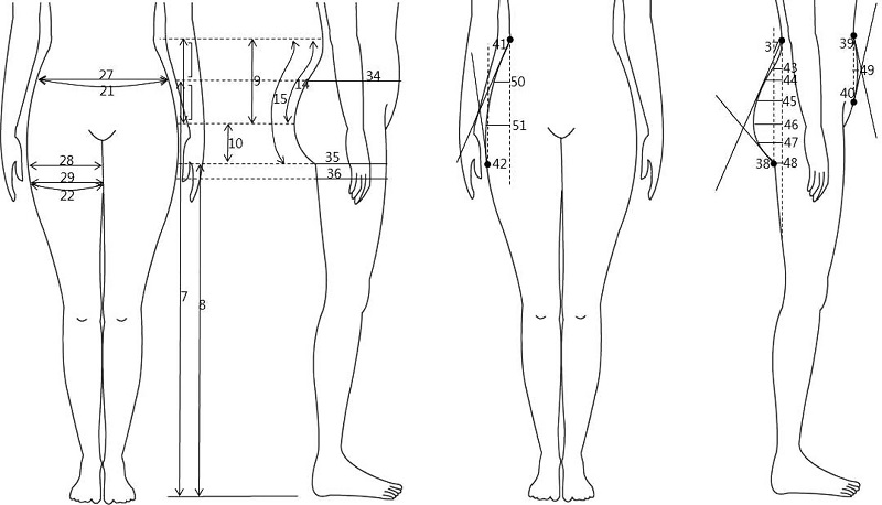Fig. 1. Fig. 1.