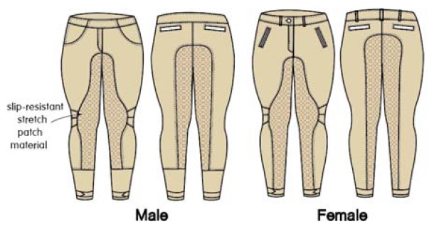 Fig. 1. Fig. 1.
