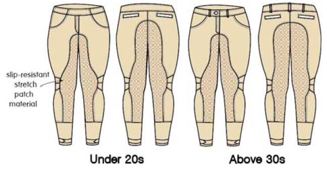 Fig. 2. Fig. 2.