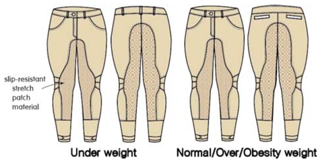 Fig. 3. Fig. 3.