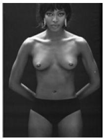 Fig. 3-3. Fig. 3-3.