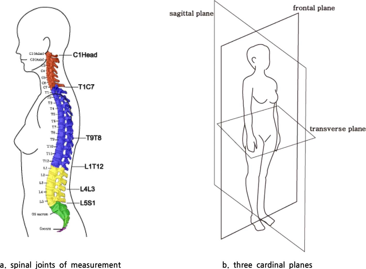 Fig. 3.