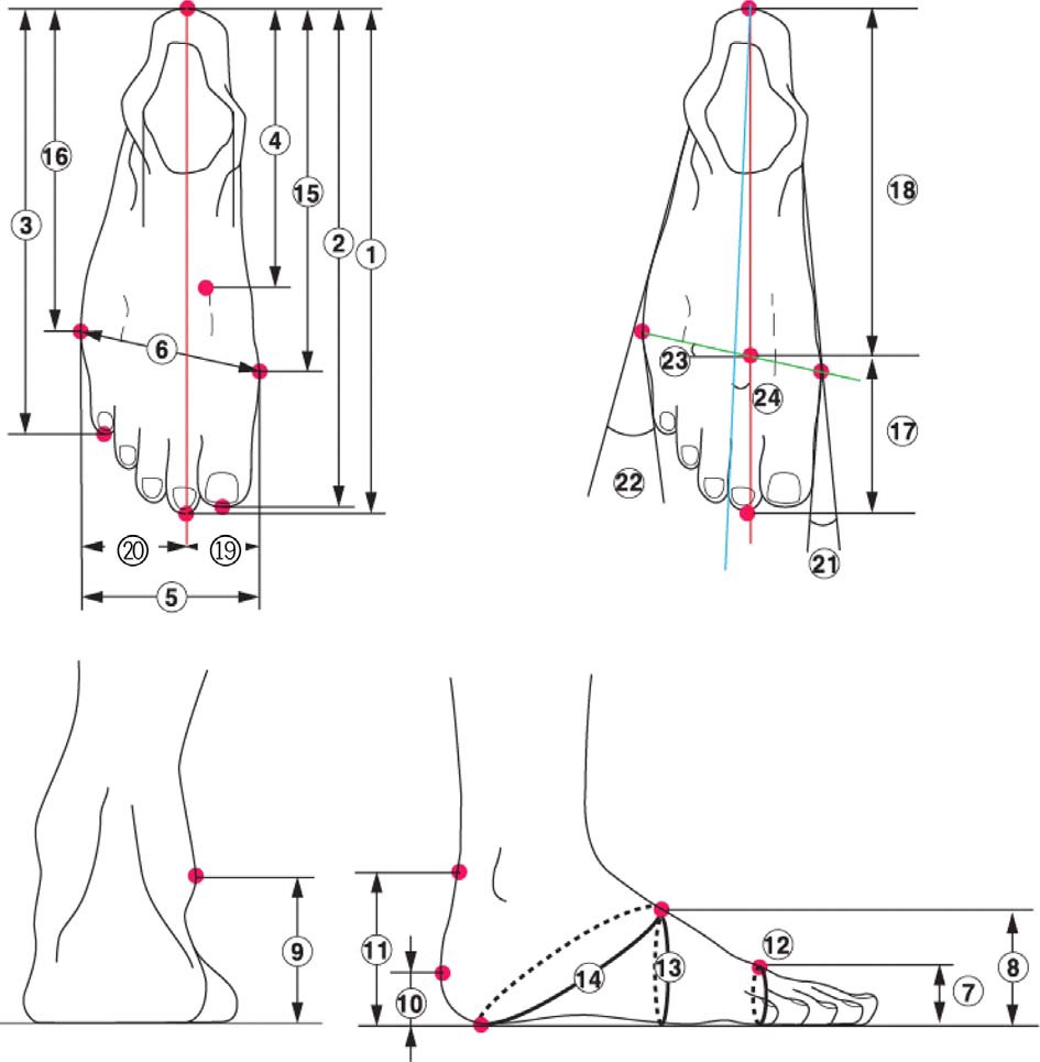 Fig. 1. Fig. 1.
