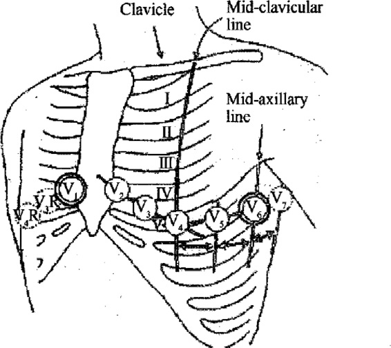 Fig. 1. Fig. 1.