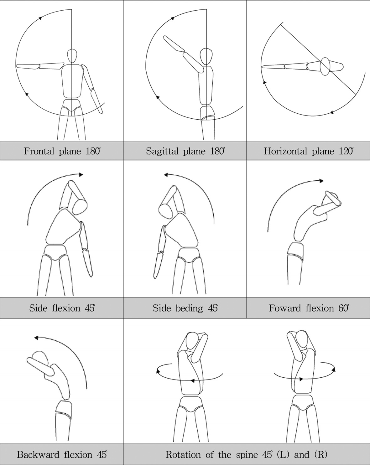 Fig. 6. Fig. 6.