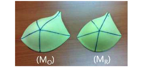 Fig. 5.