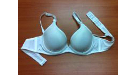 Fig. 8.