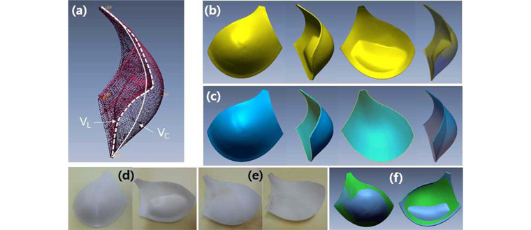 Fig. 10.