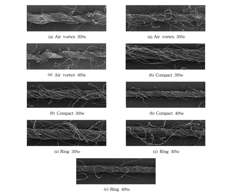Fig. 5. Fig. 5.