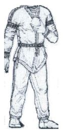 Fig. 3.