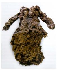 Fig. 17.