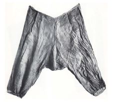 Fig. 19.