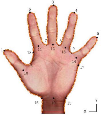 Fig. 3. Fig. 3.