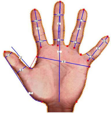 Fig. 6. Fig. 6.