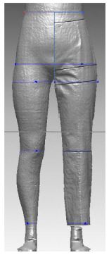 Fig. 5. Fig. 5.