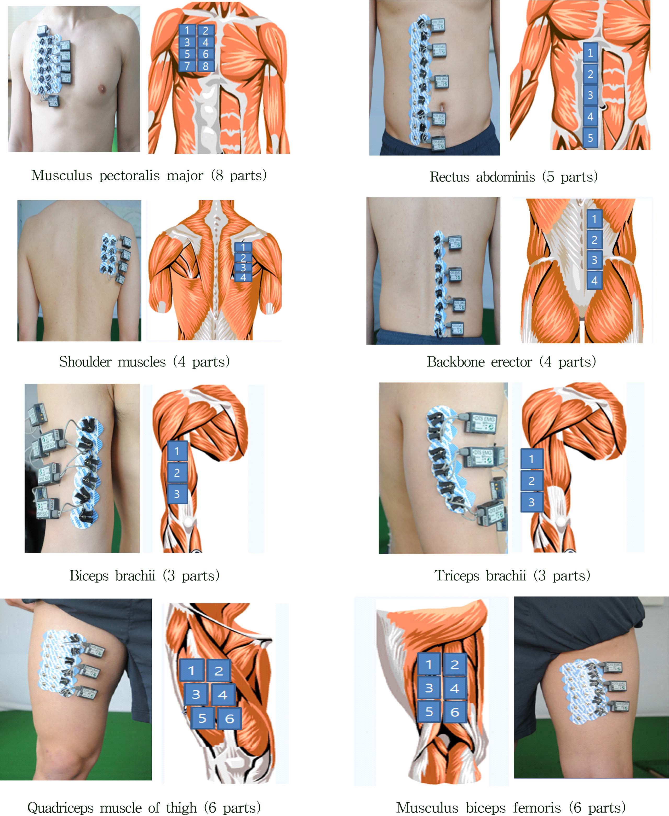 Fig. 4. Fig. 4.
