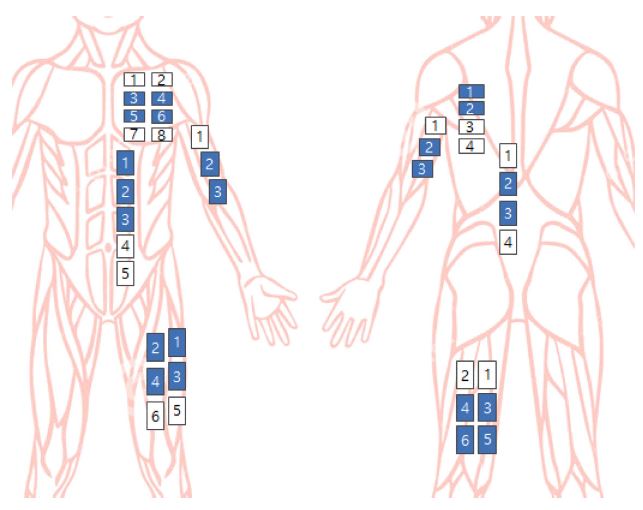 Fig. 7. Fig. 7.