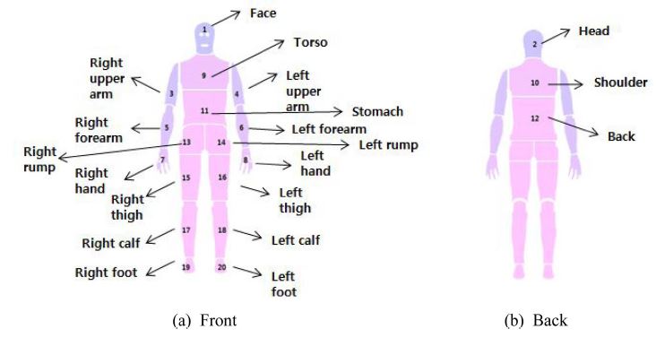 Fig. 3. Fig. 3.