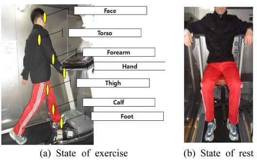 Fig. 4. Fig. 4.
