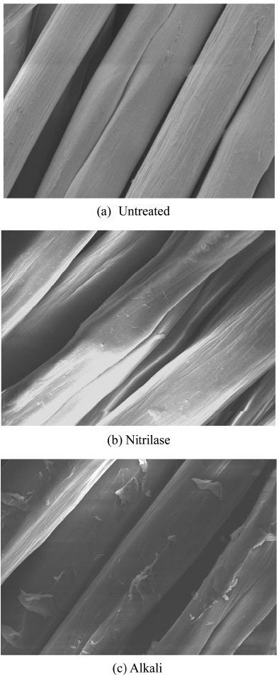 Fig. 10.