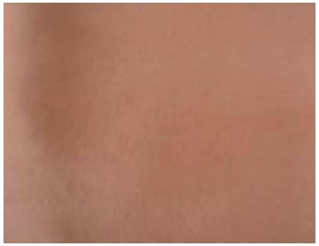 Fig. 2. Fig. 2.