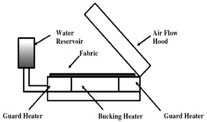 Fig. 3. Fig. 3.