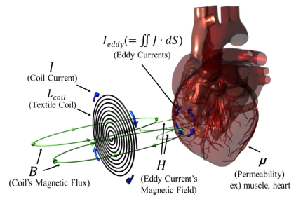 Fig. 1. Fig. 1.