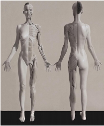 Fig. 20. Fig. 20.