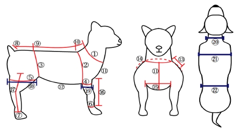 Fig. 1. Fig. 1.
