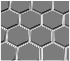 Fig. 1. Fig. 1.