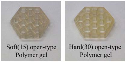 Fig. 3. Fig. 3.