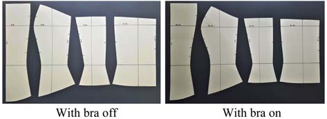 Fig. 3. Fig. 3.