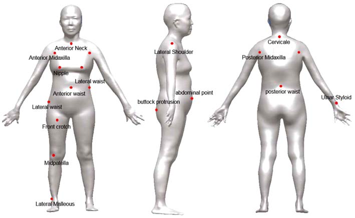 Fig. 1. Fig. 1.