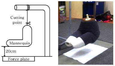 Fig. 1. Fig. 1.
