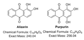 Fig. 1. Fig. 1.