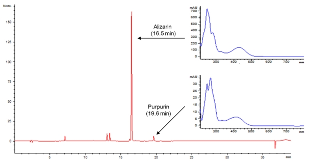Fig. 3. Fig. 3.