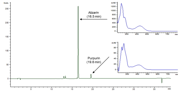 Fig. 4. Fig. 4.
