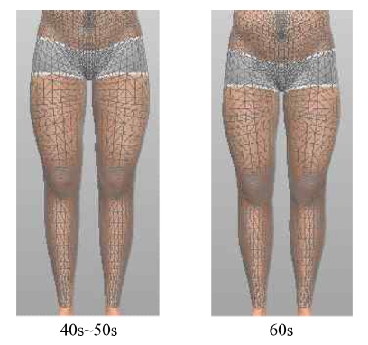 Fig. 2. Fig. 2.