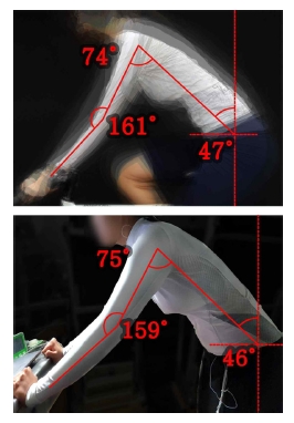 Fig. 6. Fig. 6.