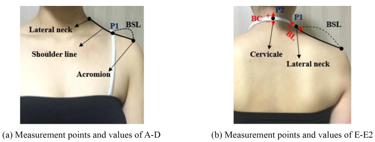 Fig. 1. Fig. 1.