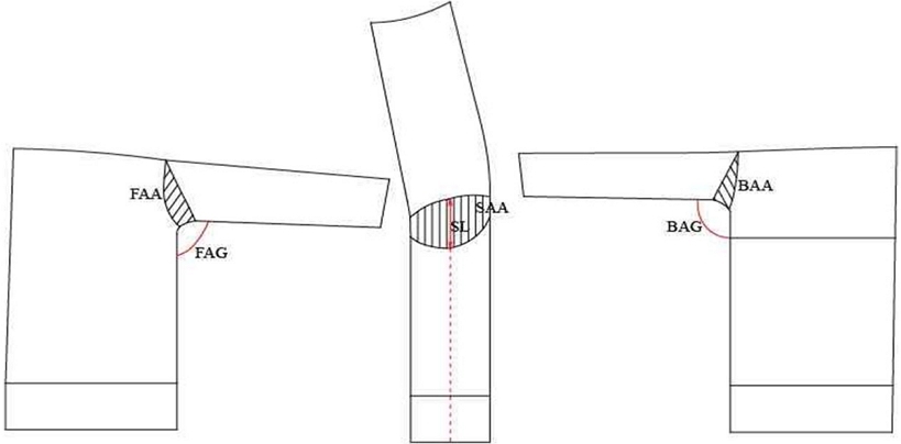 Fig. 5.