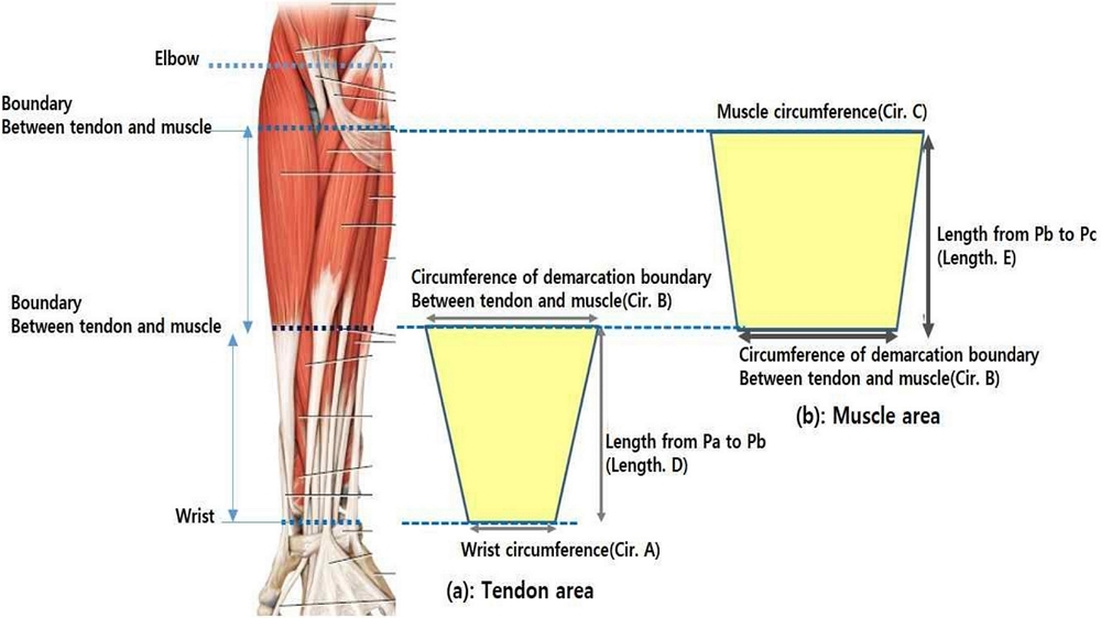 Fig. 2. Fig. 2.