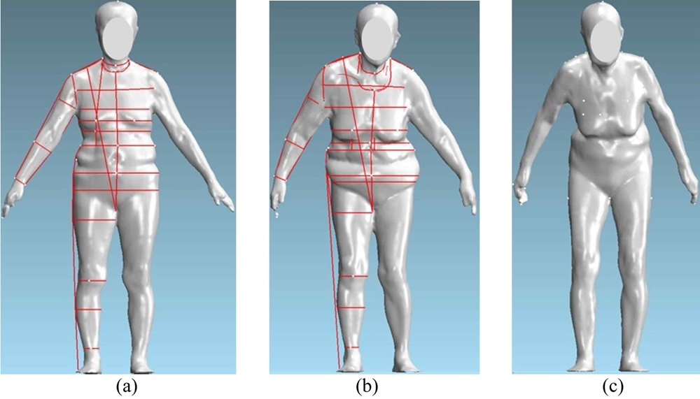 Fig. 1. Fig. 1.