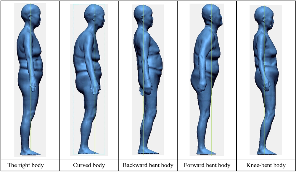 Fig. 2. Fig. 2.