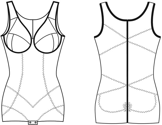 Fig. 1.