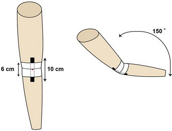 Fig. 3. Fig. 3.