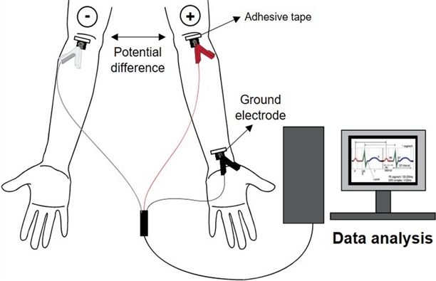 Fig. 3.