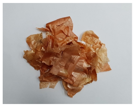 Fig. 2. Fig. 2.