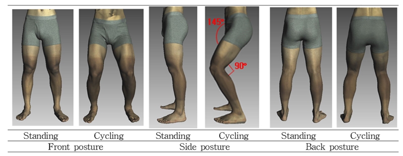 Fig. 1. Fig. 1.